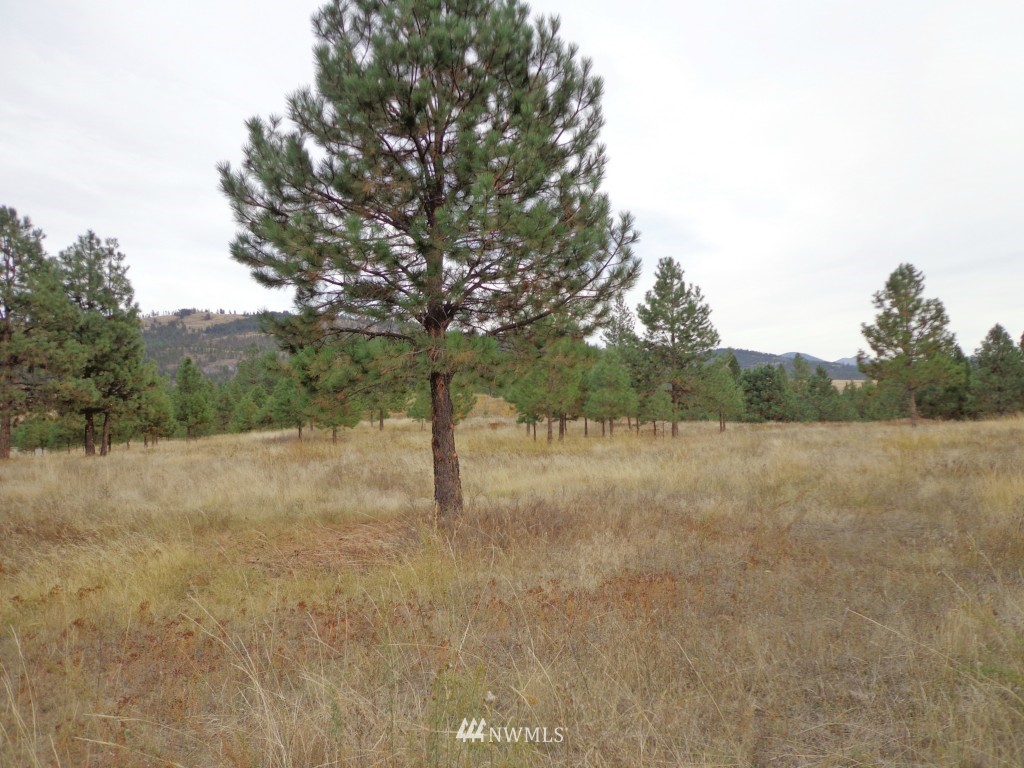 1 Decoy Road Republic, WA 99166 - Photo 8 of 10