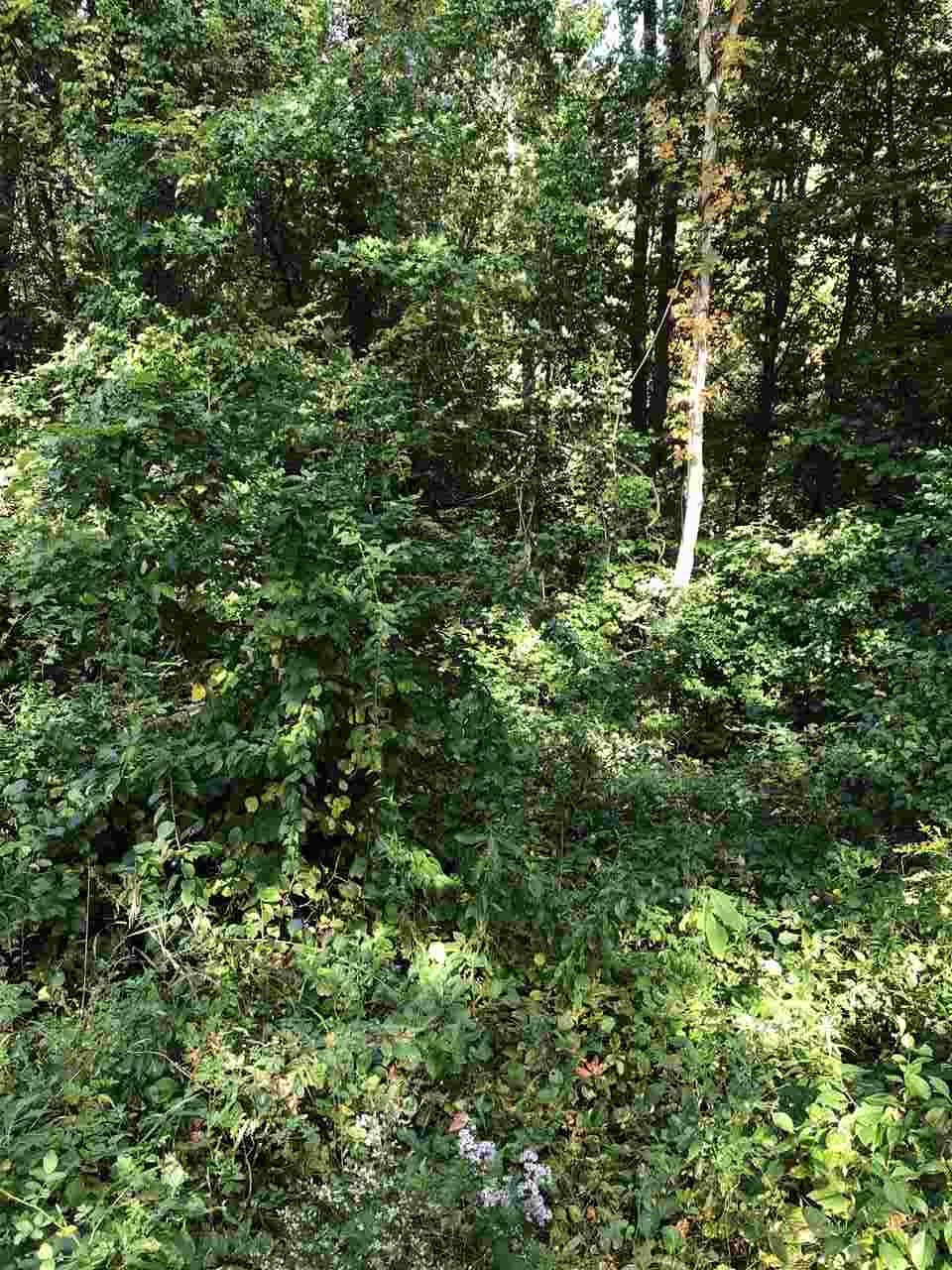 0 Mountain Road West Chesterfield, NH 03466 - Photo 2 of 4