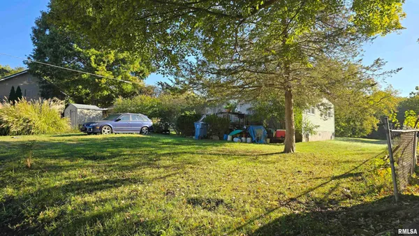 a small yard with trees