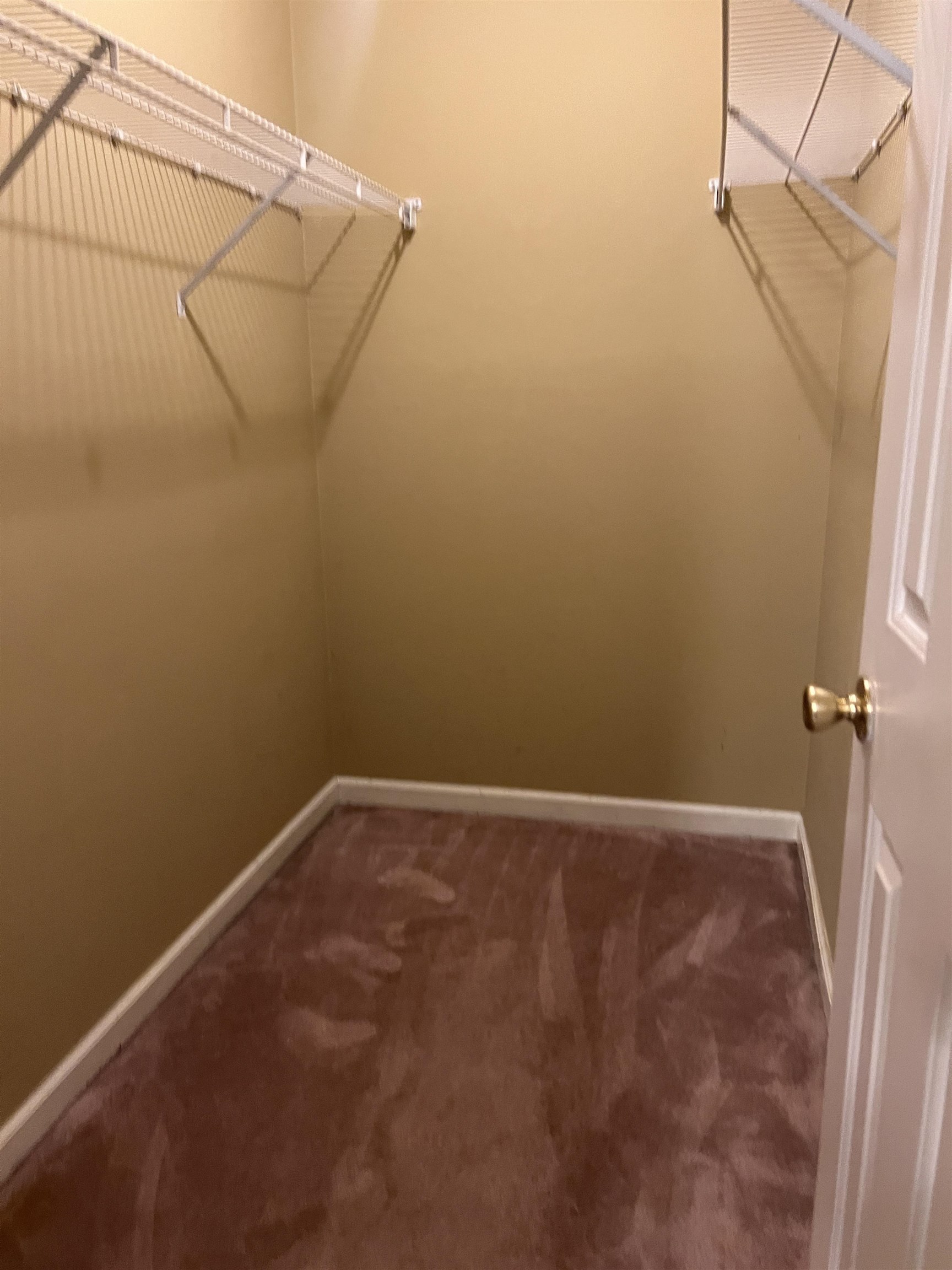 4005 Long Creek Road Memphis, TN 38125 - Photo 32 of 36 Built-in wire shelving, wall-to-wall carpeting, and painted walls