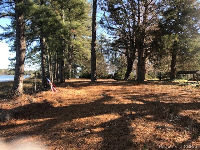 468 Osprey Road Cardinal, VA 23025 - Photo 12 of 49