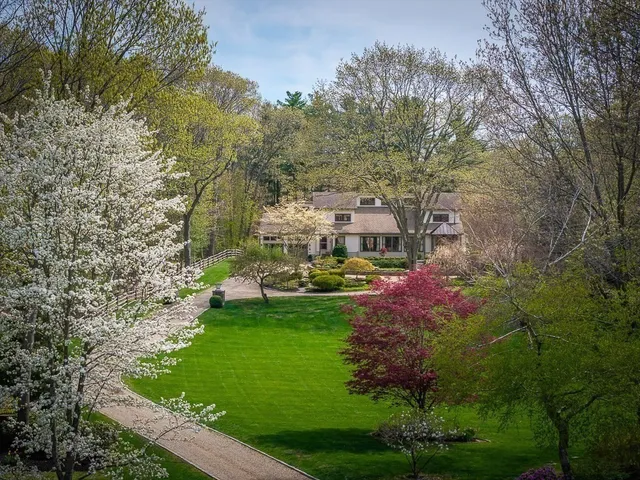a view of yard with green space