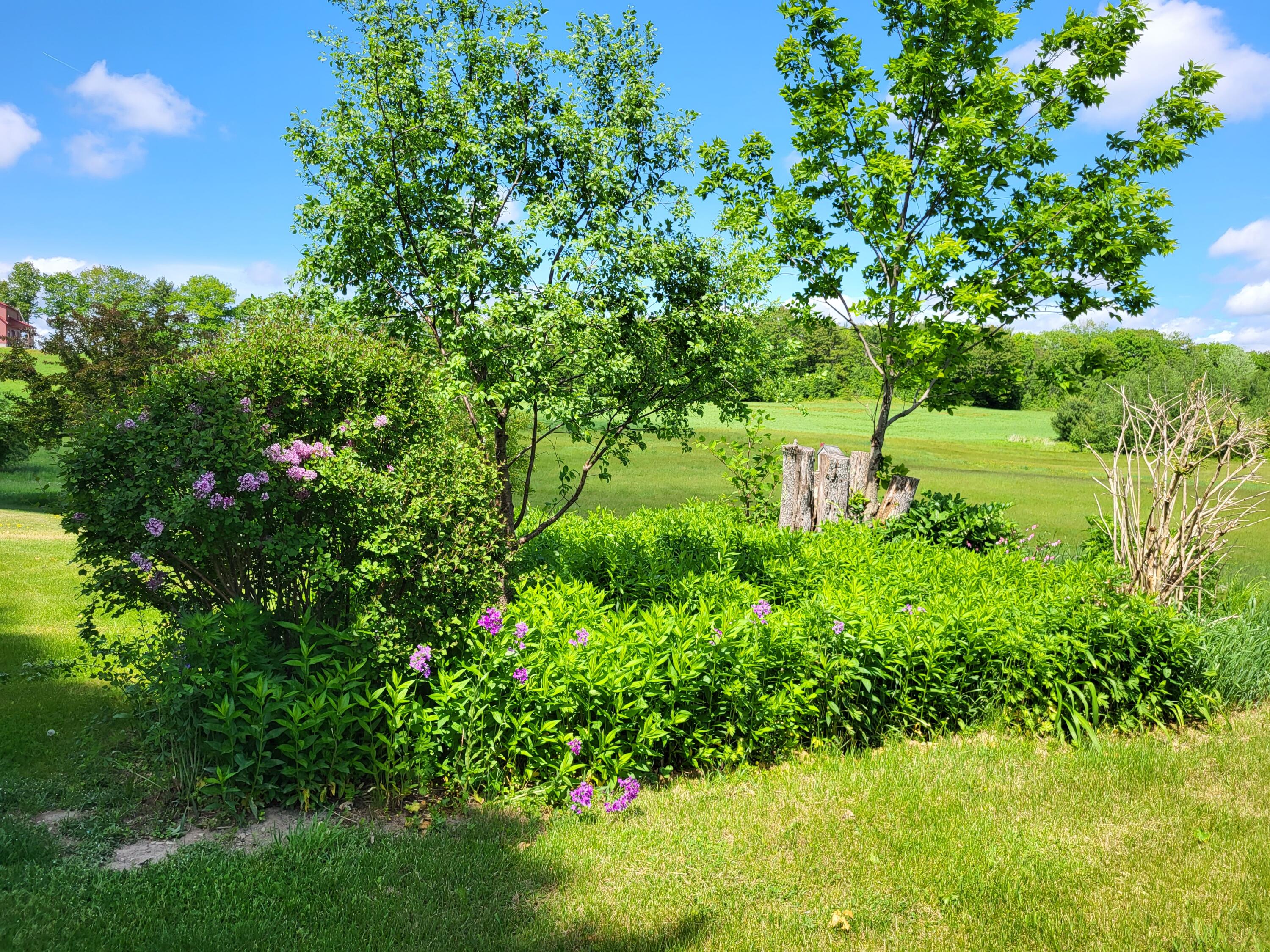 369 Barton Road Windsor, ME 04363 - Photo 20 of 135 20220531_142210