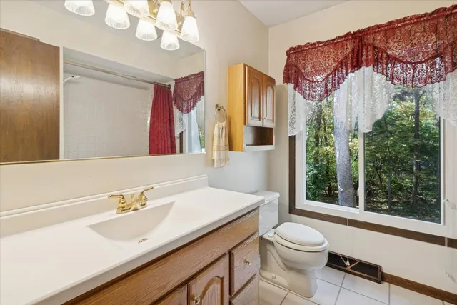 a bathroom with a sink a mirror and a toilet