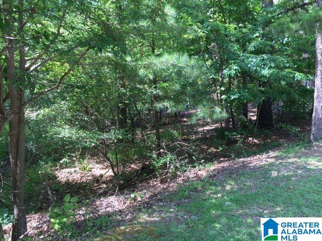 8068 Castlehill Road Birmingham, AL 35242 - Photo 2 of 5