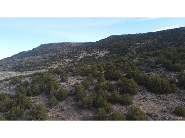 a open area with mountains in the background