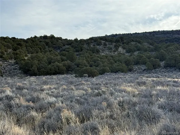 a view of a covered with trees in the background