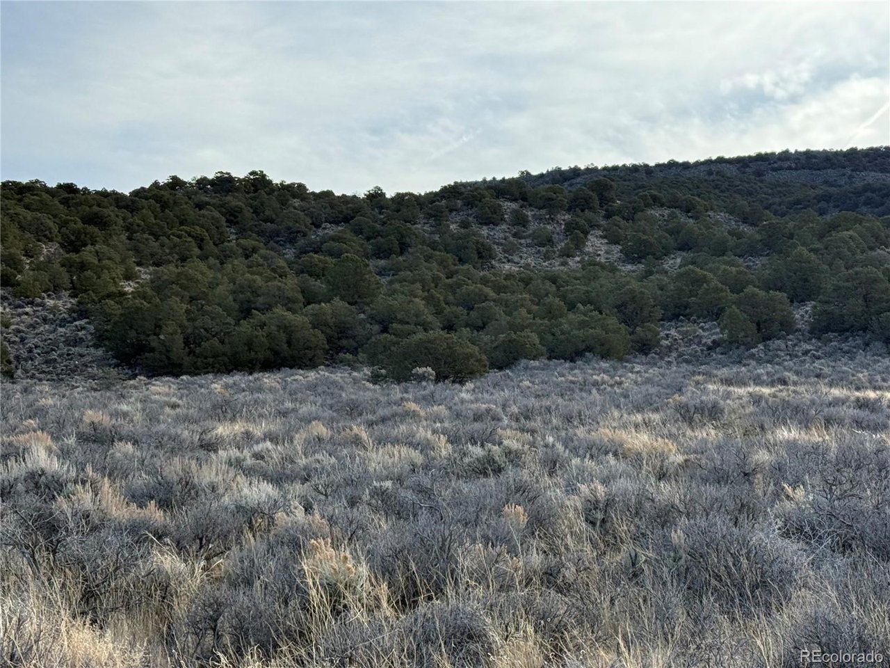 54 Old Stage Coach Road San Luis, CO 81152 - Photo 2 of 20 a view of a covered with trees in the background