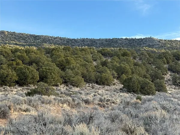 a view of a dry yard with wooden fence