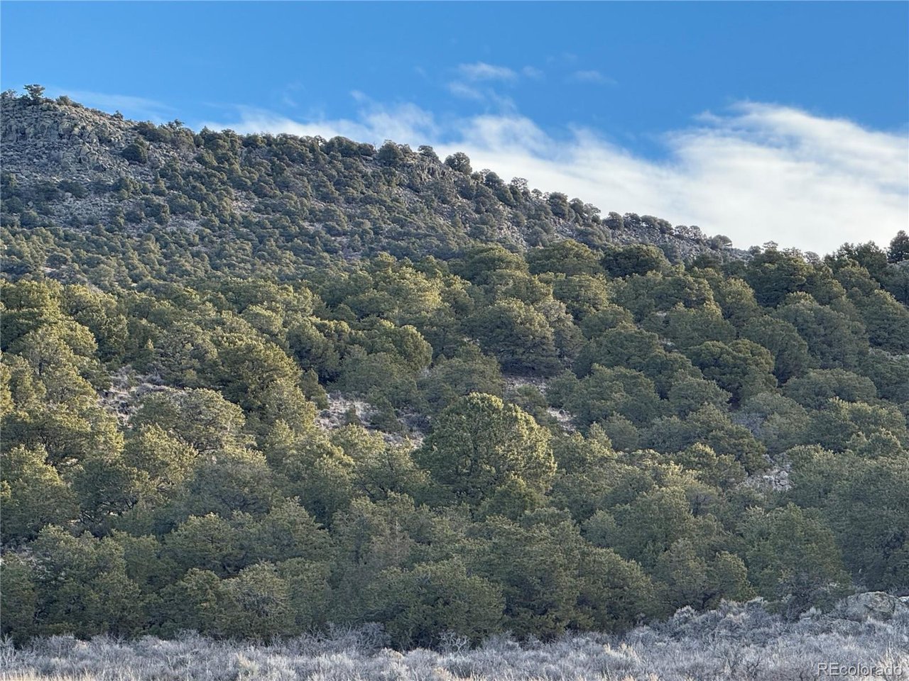 54 Old Stage Coach Road San Luis, CO 81152 - Photo 8 of 20 a view of a forest with mountains in the background