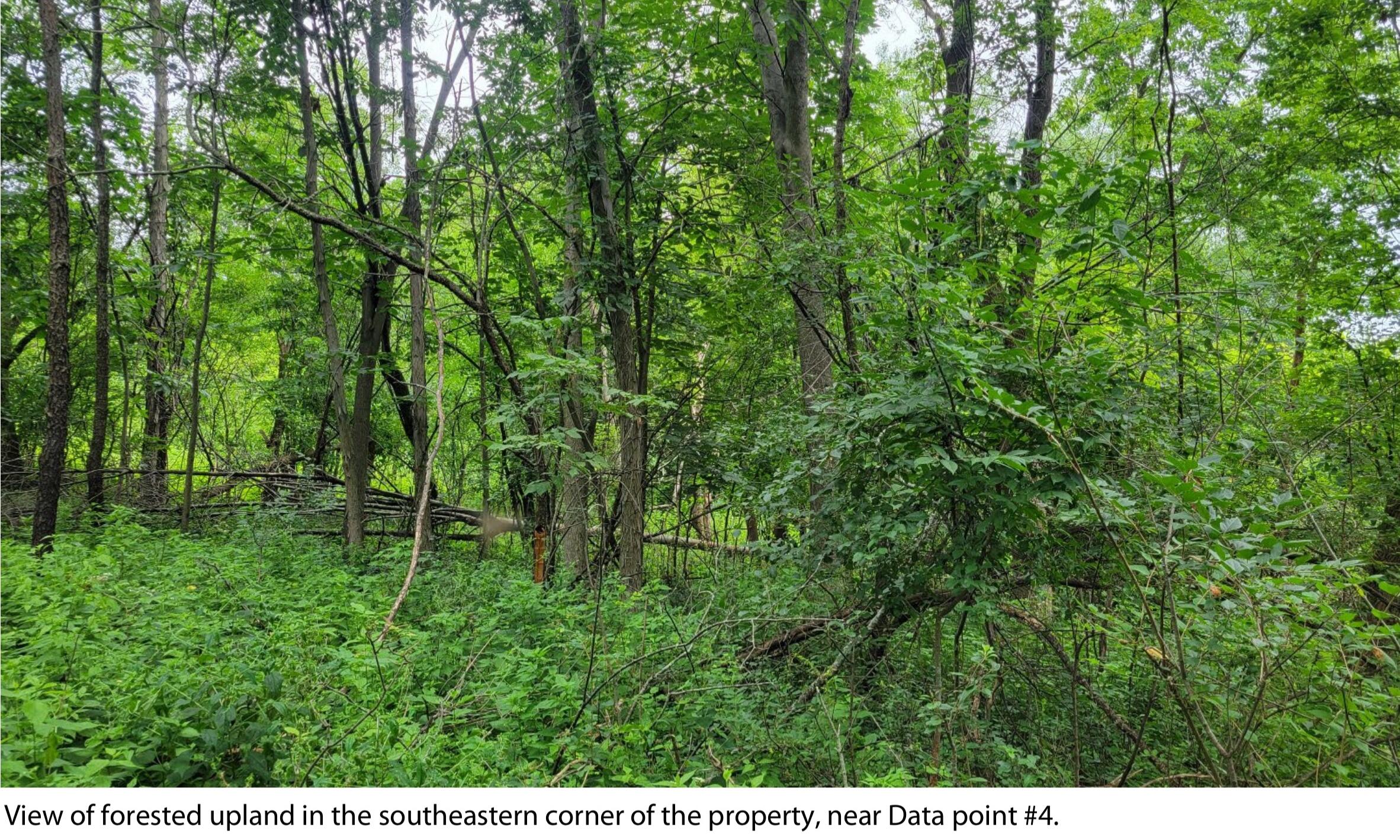 Lt2 Yorkshire Trace Delafield, WI 53072 - Photo 1 of 1 Lot #2 Ground Photo