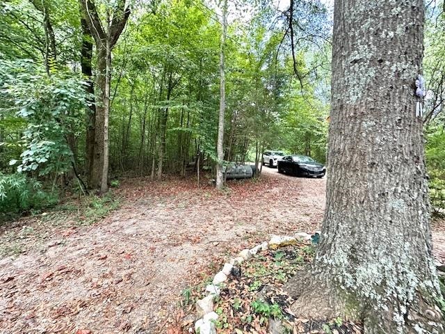 80 Vaughan Way Crump, TN 38310 - Photo 24 of 40 Gallery Image 24