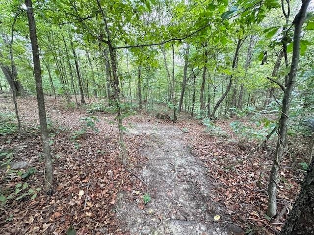 80 Vaughan Way Crump, TN 38310 - Photo 35 of 40 Gallery Image 35