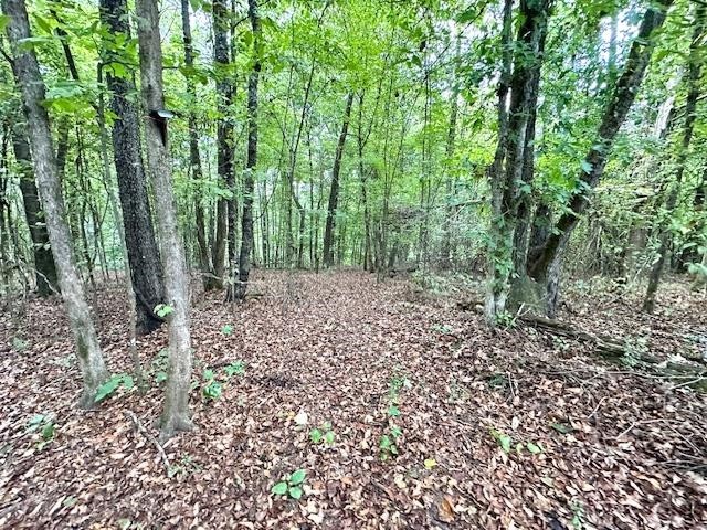 80 Vaughan Way Crump, TN 38310 - Photo 37 of 40 Gallery Image 37