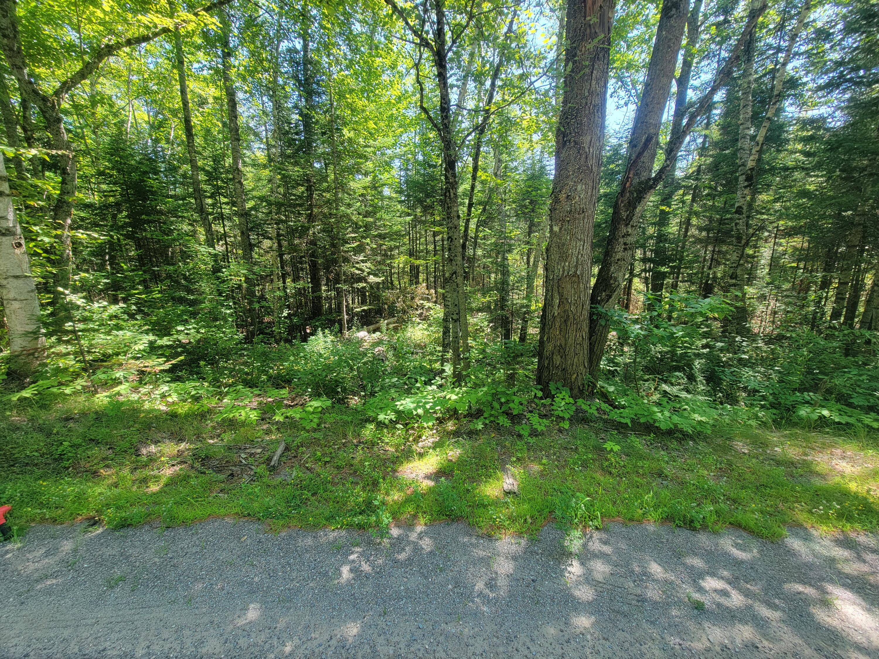 12-03 North Horseback Road Burnham, ME 04922 - Photo 4 of 7 N Horsback Rd, Burnham 12-03