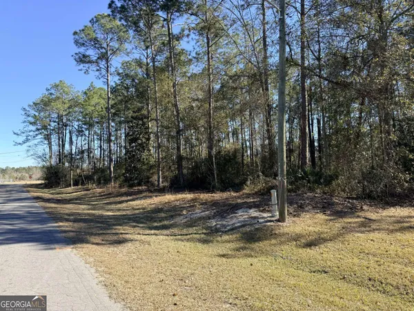 a view of a swimming pool with a yard