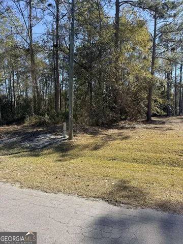 a view of a forest filled with trees