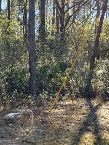 a view of a yard with plants and trees