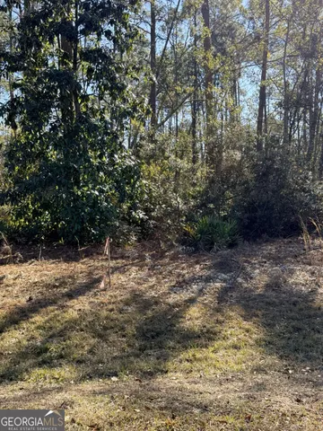 a view of a yard with large trees