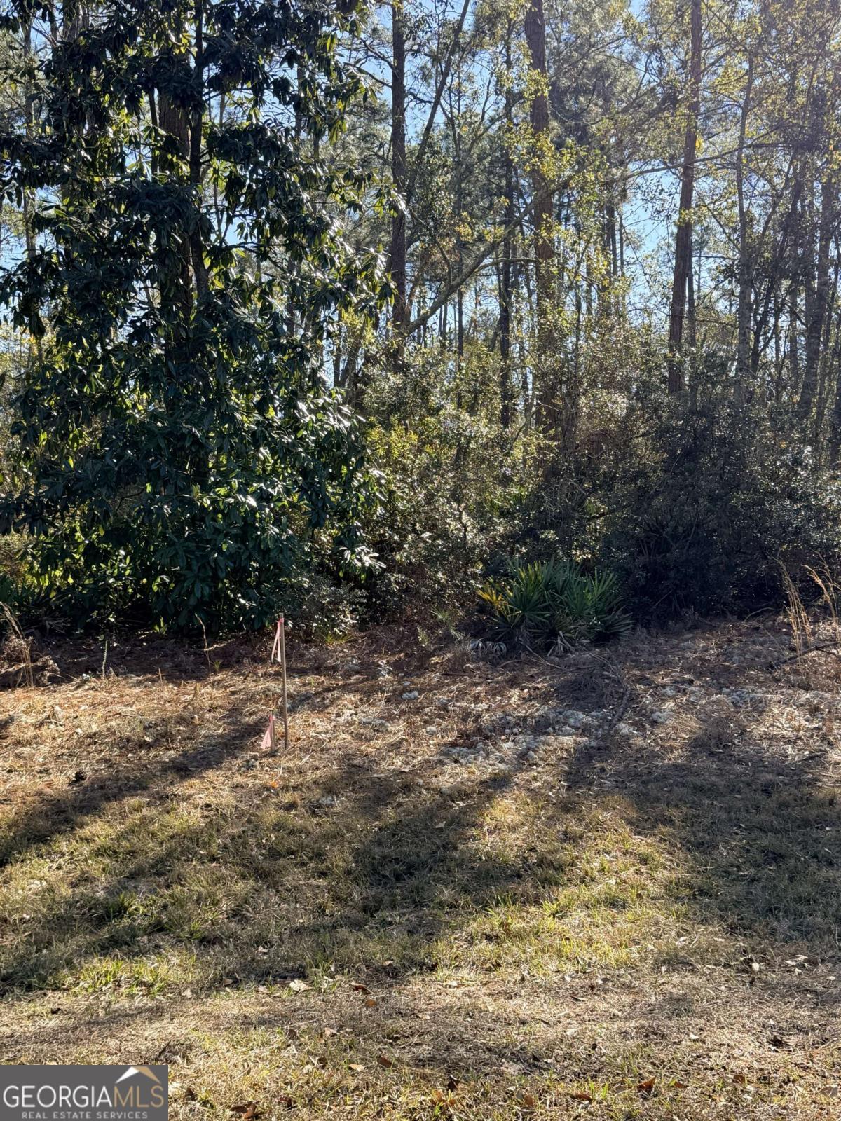 414 Pendleton Street Baxley, GA 31513 - Photo 4 of 6 a view of a yard with plants and trees