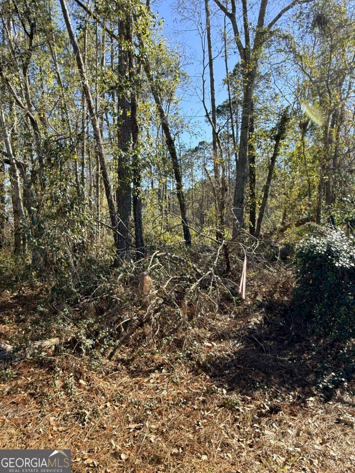 414 Pendleton Street Baxley, GA 31513 - Photo 5 of 6 a view of a yard with large trees
