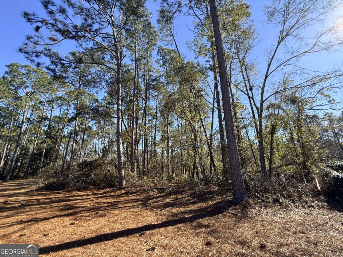 414 Pendleton Street Baxley, GA 31513 - Photo 6 of 6 a view of a backyard