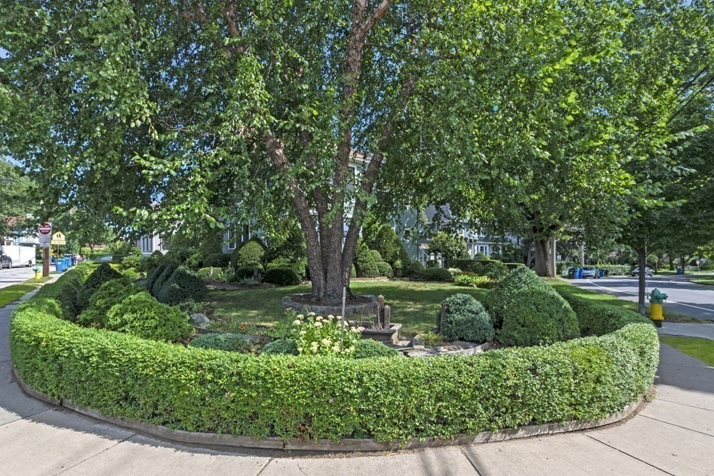 141-143 Oakley Road Belmont, MA 02478 - Photo 33 of 40
