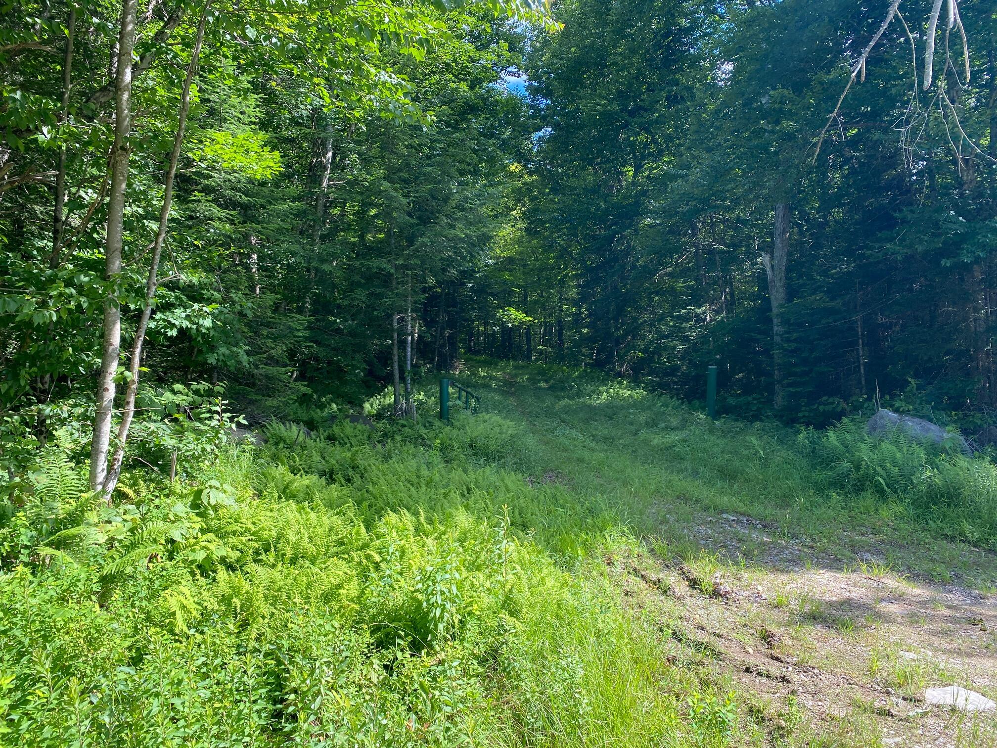 70.9 Sequoia Road Thendara, NY 13472 - Photo 3 of 4 IMG_5557 (1)