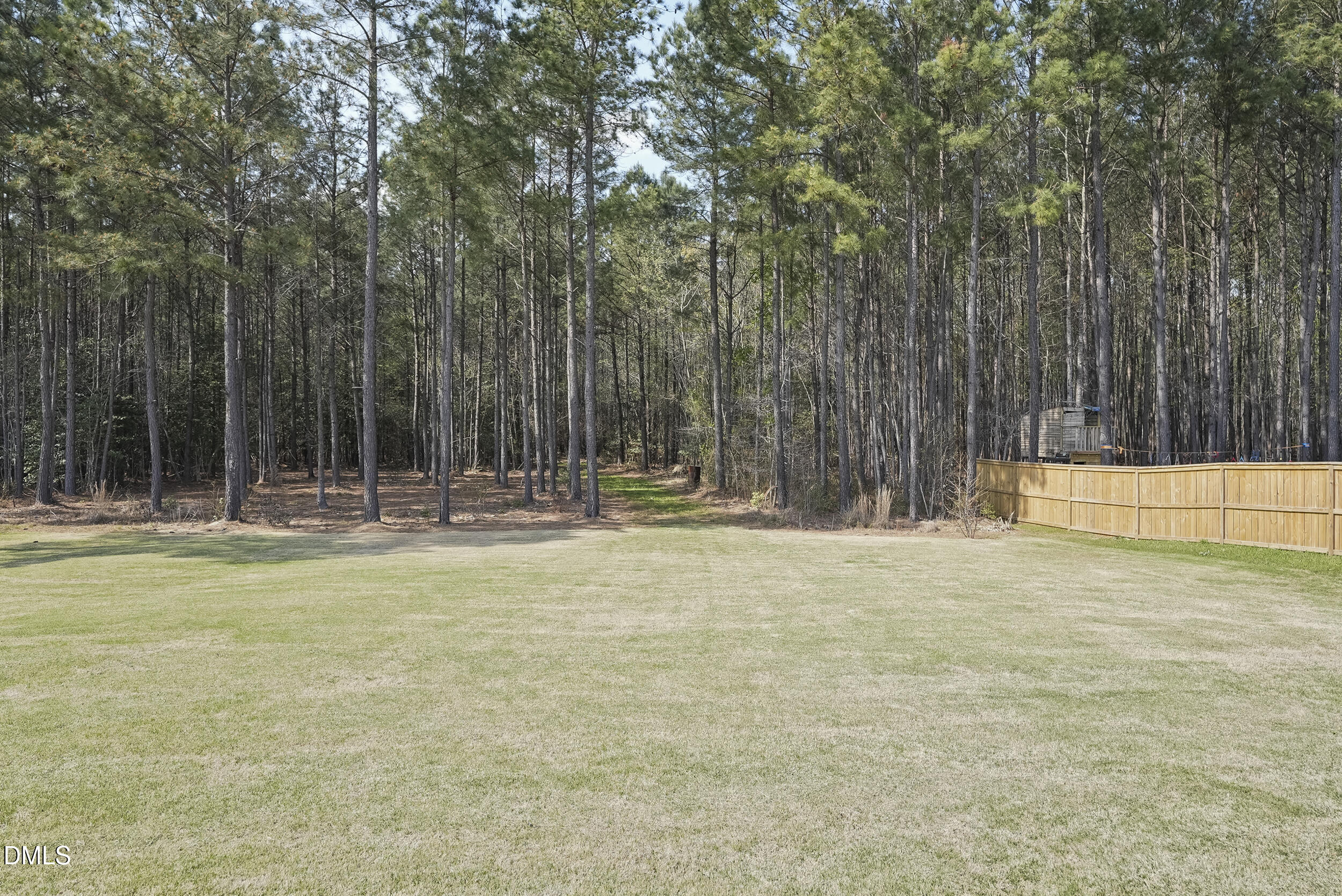 262 Day Lily Street Selma, NC 27576 - Photo 30 of 39 a view of a yard with large trees