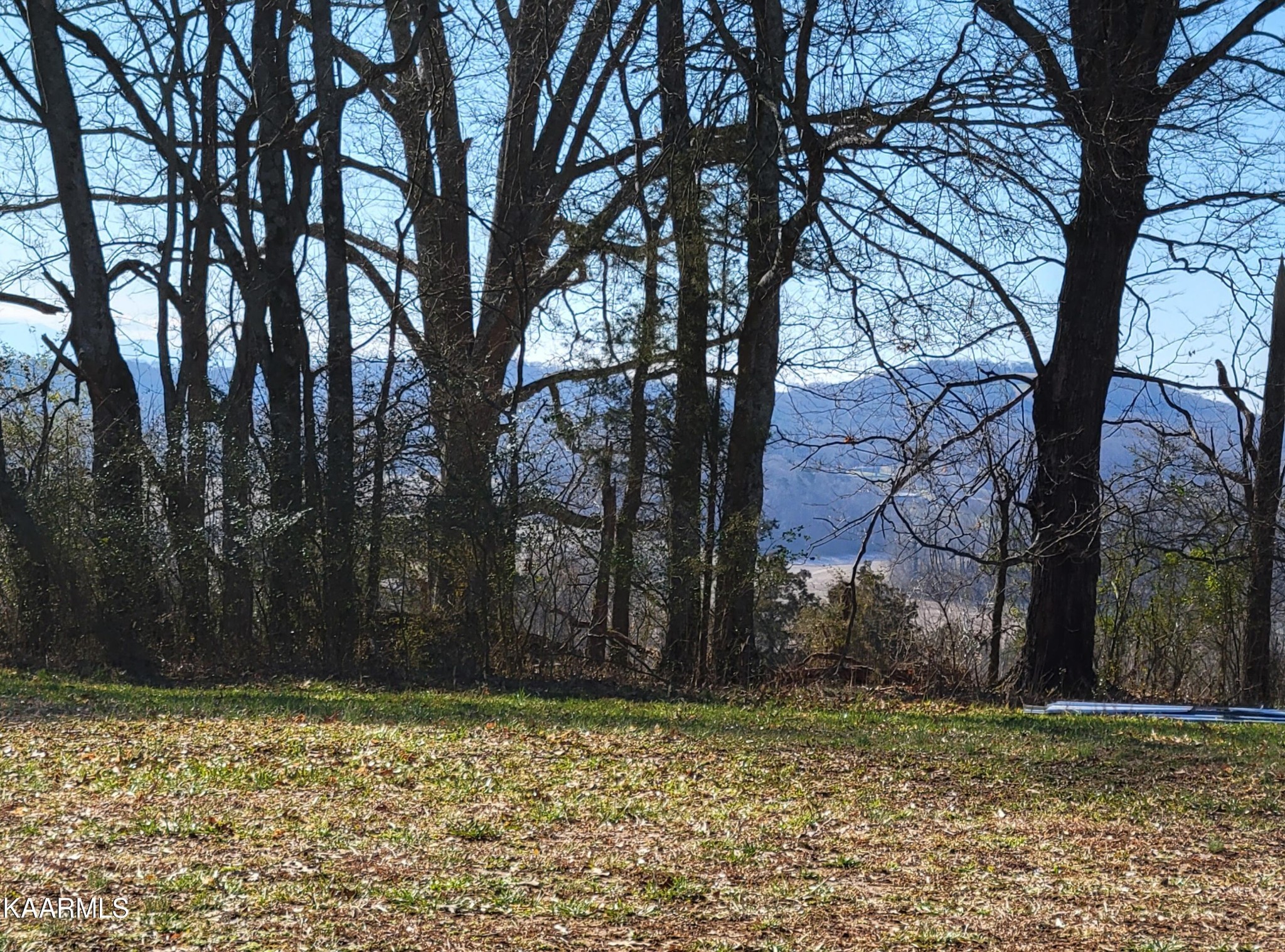 4740 Owl Hole Gap Road Rutledge, TN 37861 - Photo 17 of 58 a backyard of a house with lots of green space