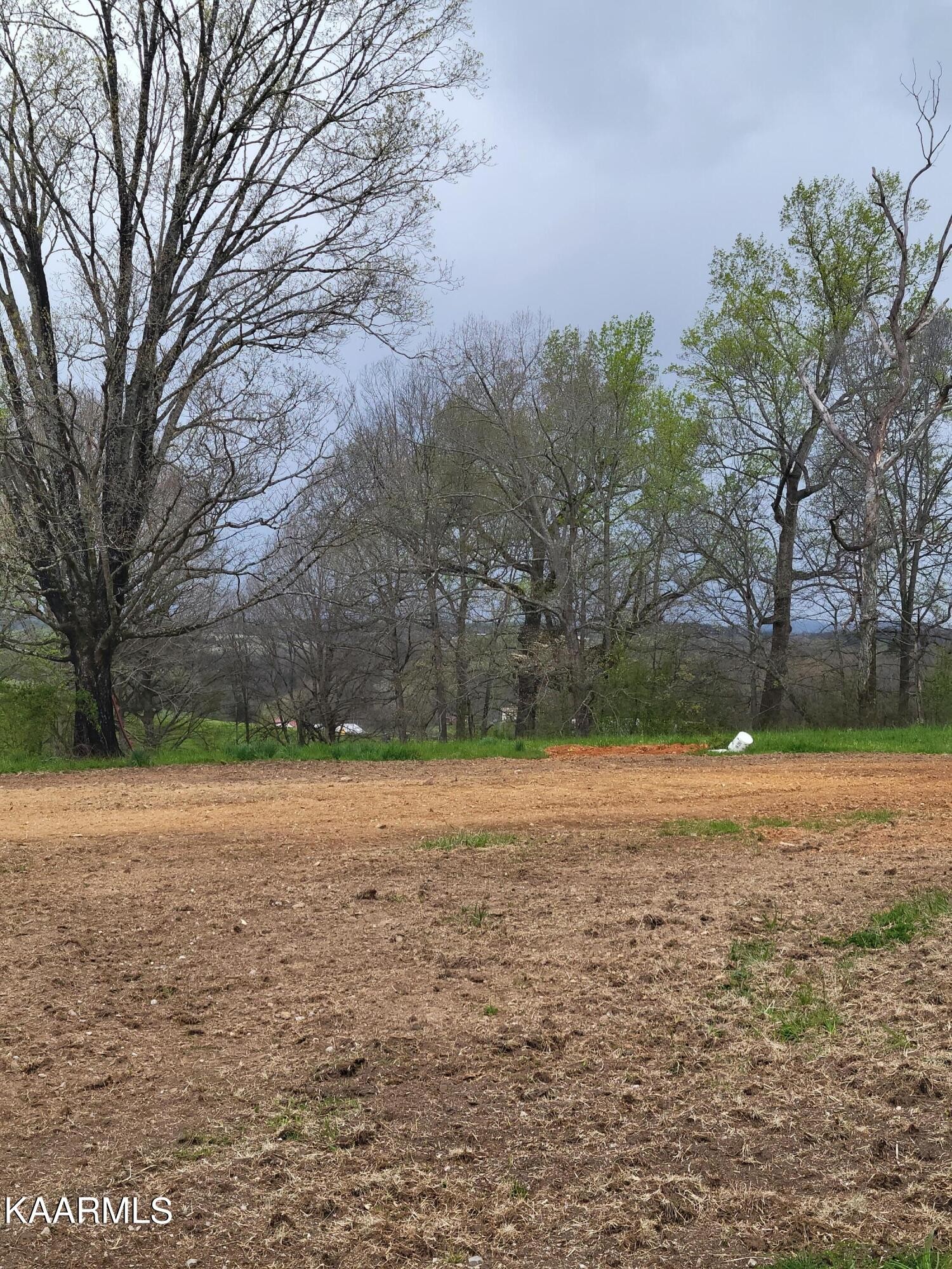 4740 Owl Hole Gap Road Rutledge, TN 37861 - Photo 27 of 58 a backyard of a house with lots of green space