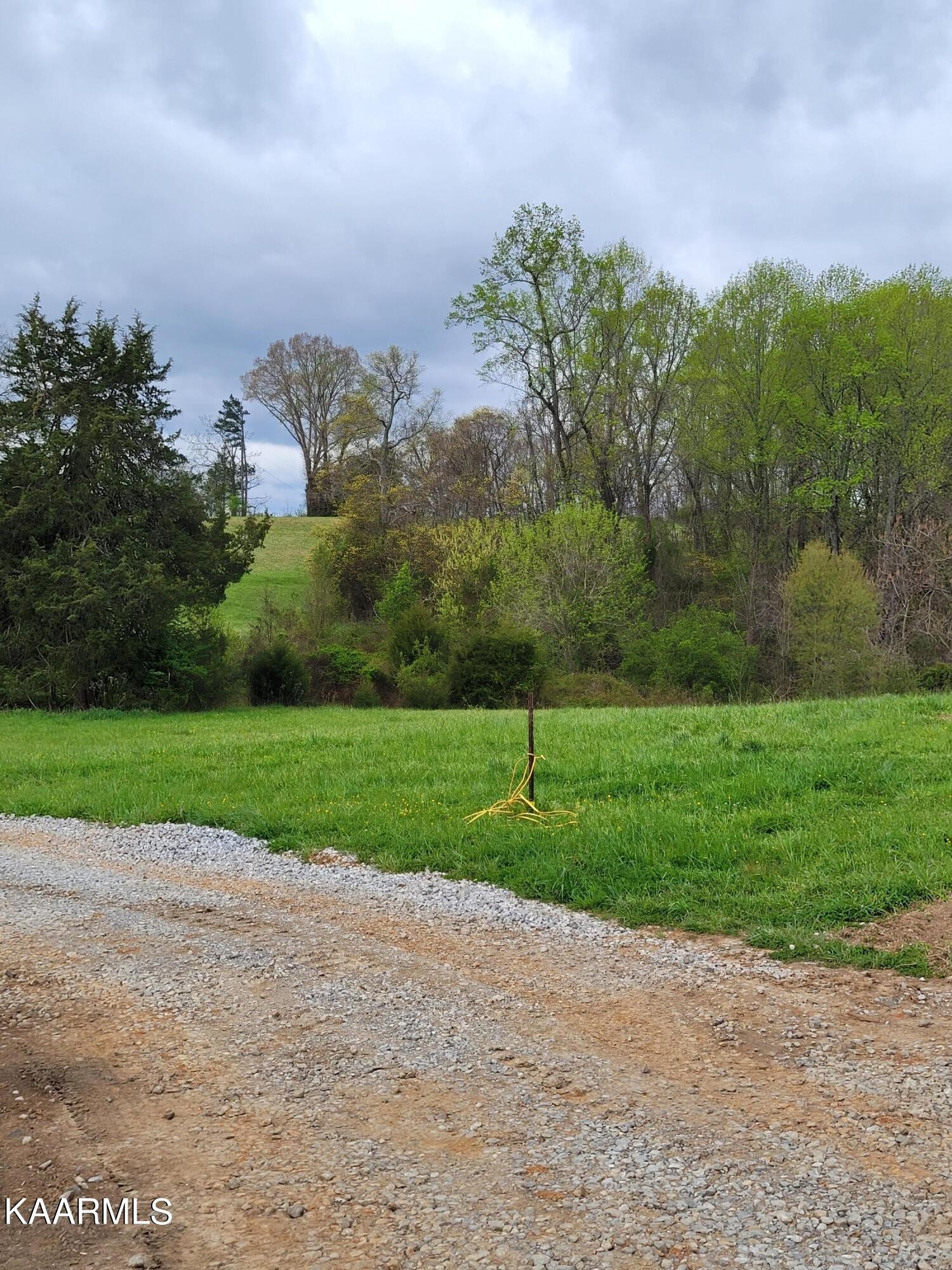 4740 Owl Hole Gap Road Rutledge, TN 37861 - Photo 28 of 58 a view of a field with grass and a palm tree