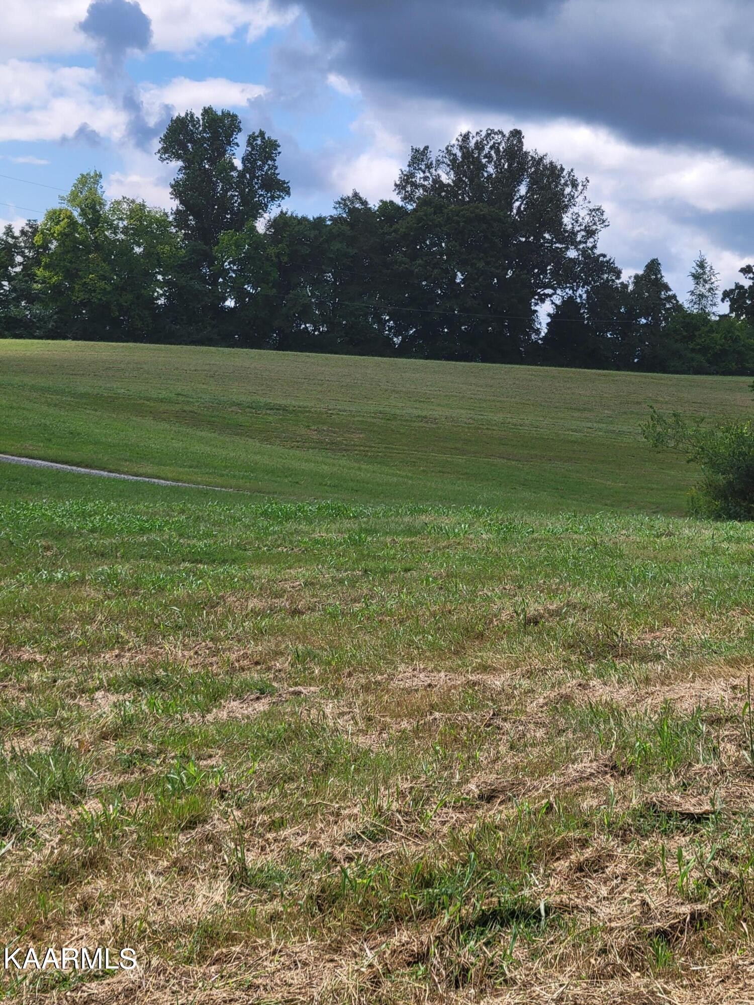 4740 Owl Hole Gap Road Rutledge, TN 37861 - Photo 31 of 58 a view of a field with an trees in the background