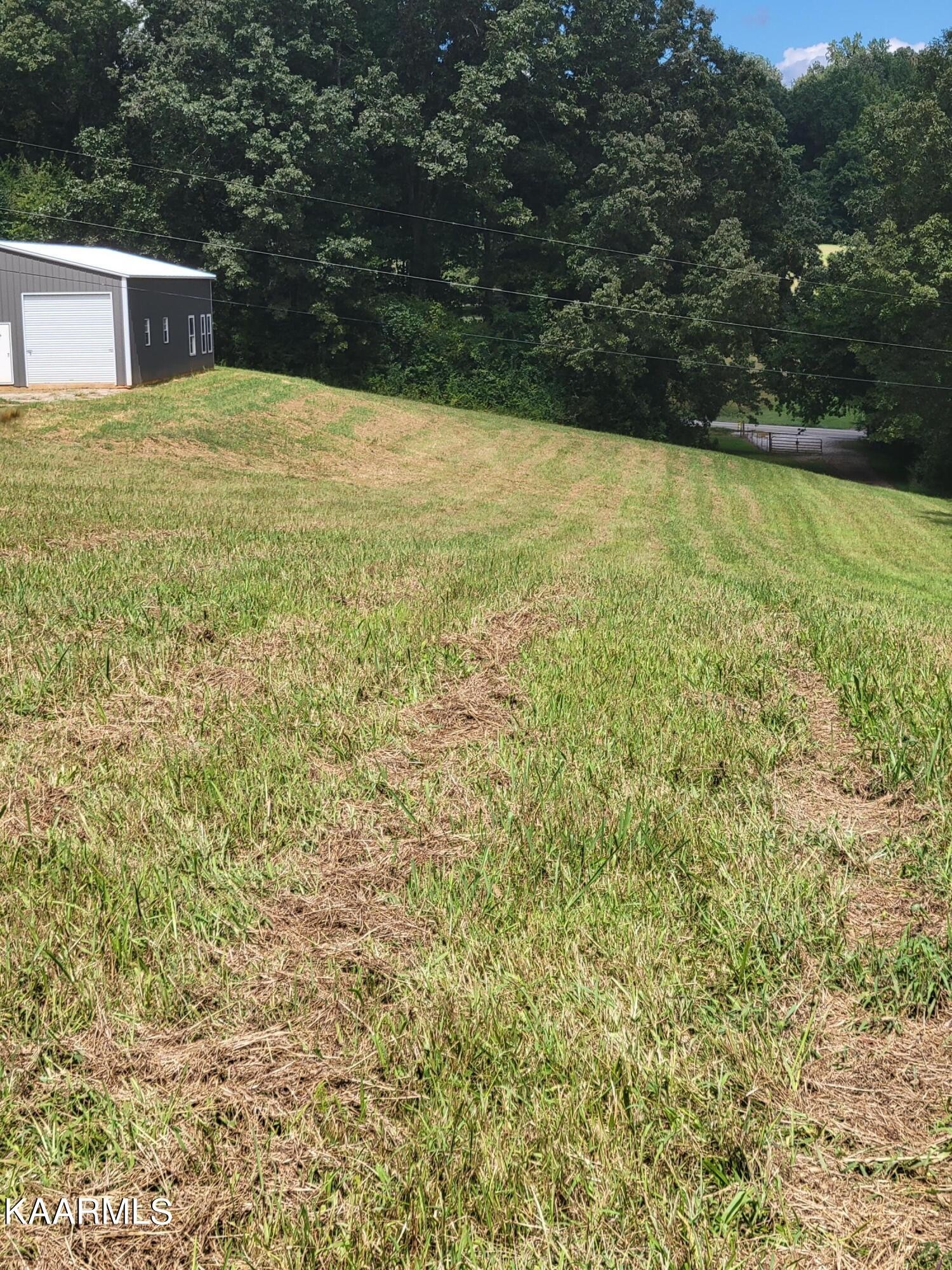 4740 Owl Hole Gap Road Rutledge, TN 37861 - Photo 34 of 58 a backyard of a house with lots of green space