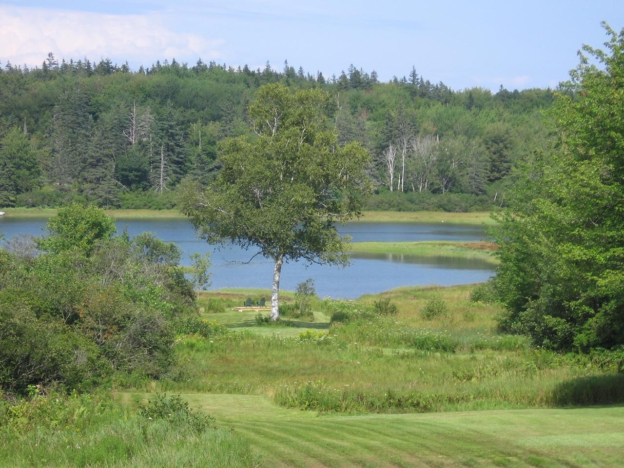 173 Port Clyde Road St. George, ME 04860 - Photo 3 of 5 beautiful land