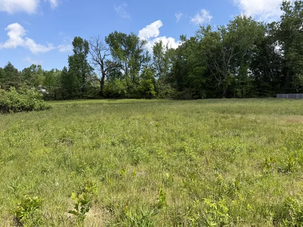 a view of a field with an trees