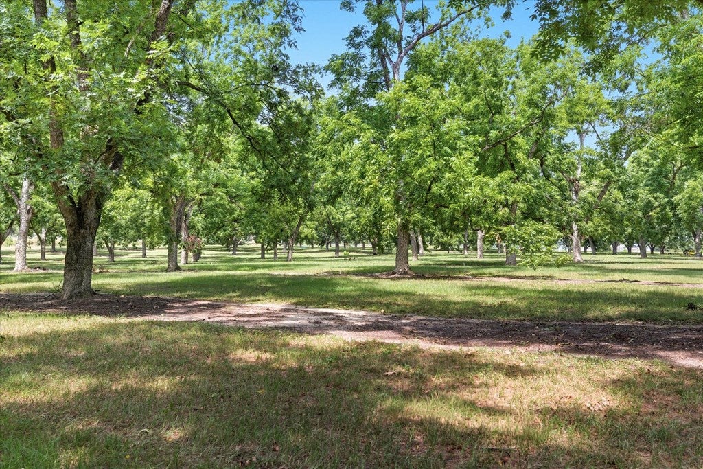 1540 Dunn Road Quitman, GA 31643 - Photo 23 of 51 Gallery Image 23