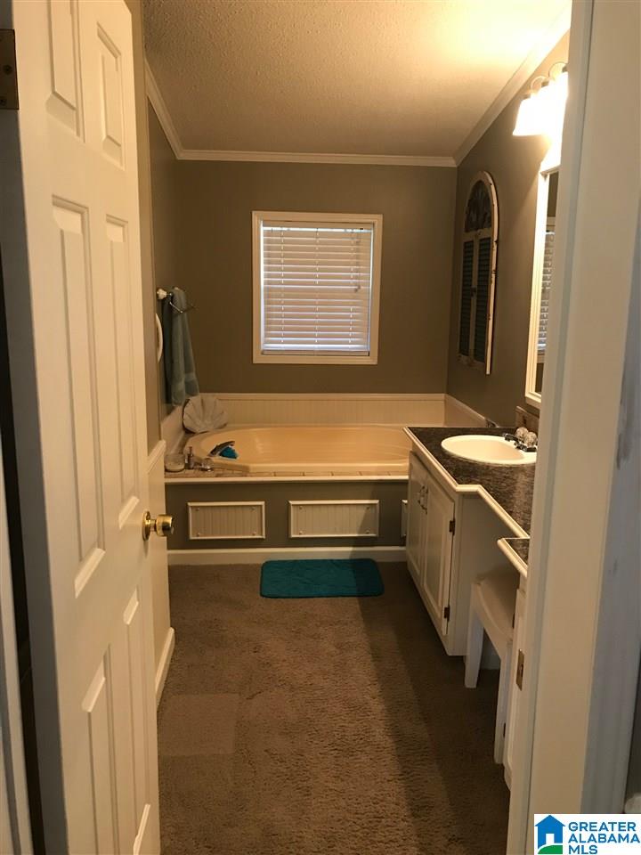 111 Whitney Circle Vincent, AL 35178 - Photo 19 of 23