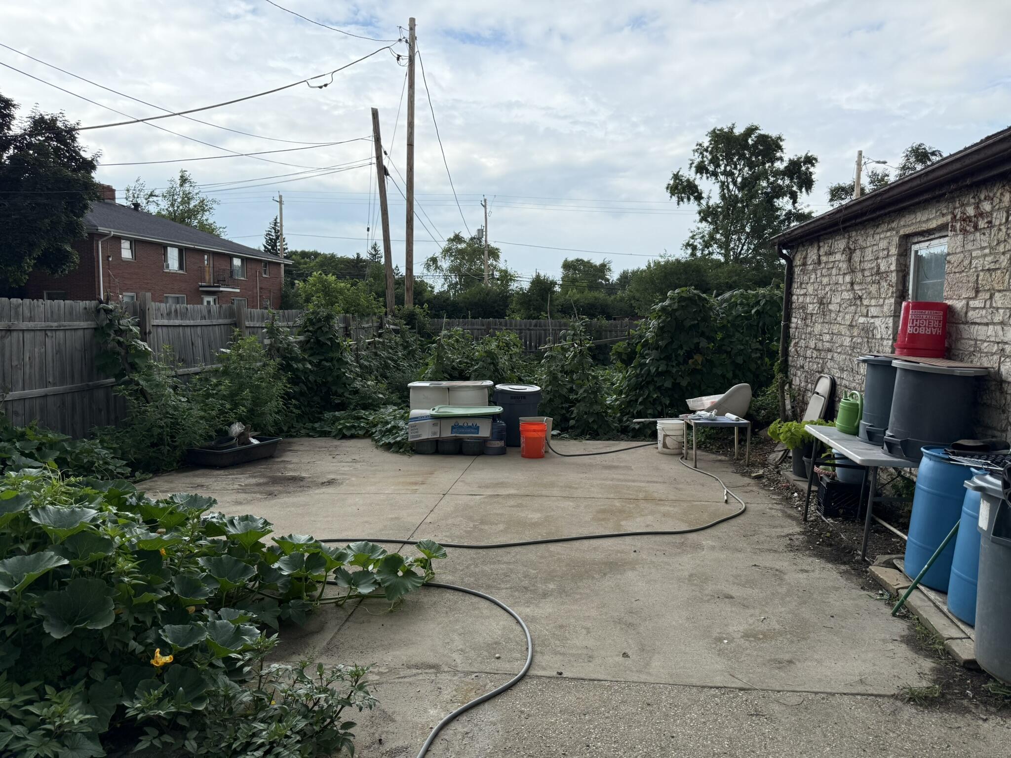 8820 West Mill Road Milwaukee, WI 53225 - Photo 3 of 15 3 Backyard