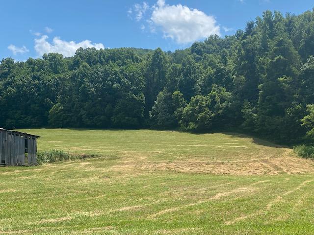 Tbd F Tbd F Dry Creek Road Erwin, TN 37650 - Photo 1 of 1 F
