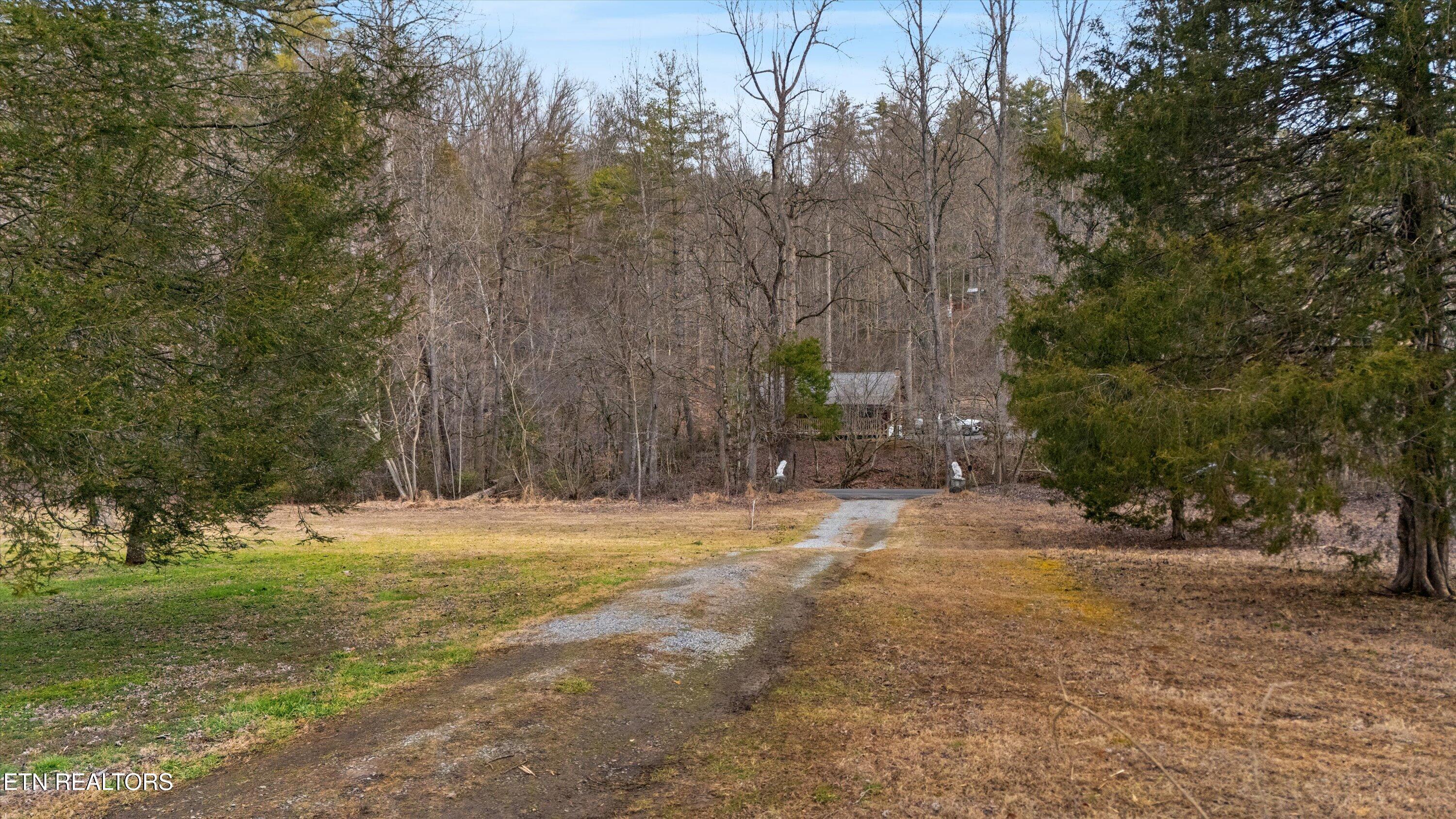 1223-1235 Rocky Flats Road Cosby, TN 37722 - Photo 20 of 38 35-1235 Rocky Flats Rd 12