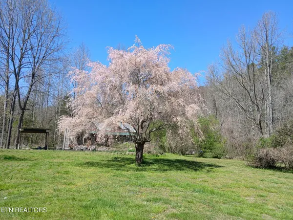 $432,000 | 1223-1235 Rocky Flats Road, Cosby, TN 37722
