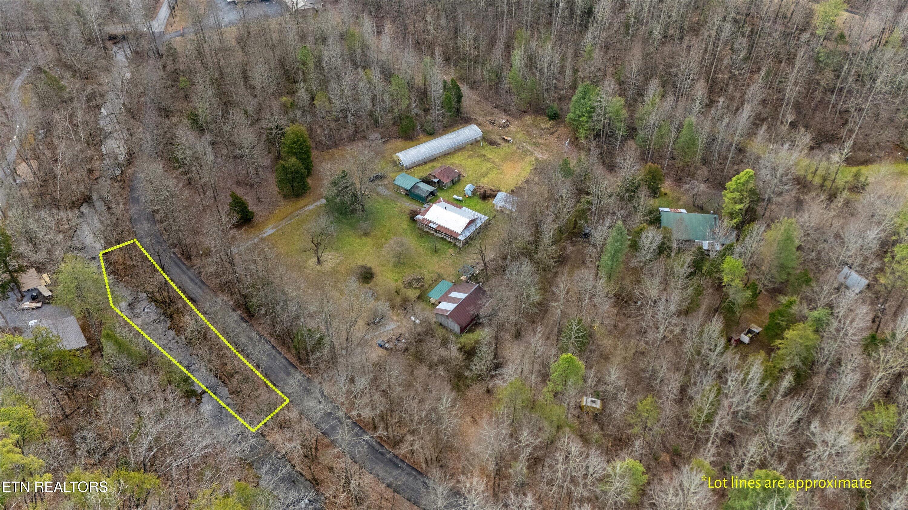 1223-1235 Rocky Flats Road Cosby, TN 37722 - Photo 31 of 38 46-1235 Rocky Flats Rd 09