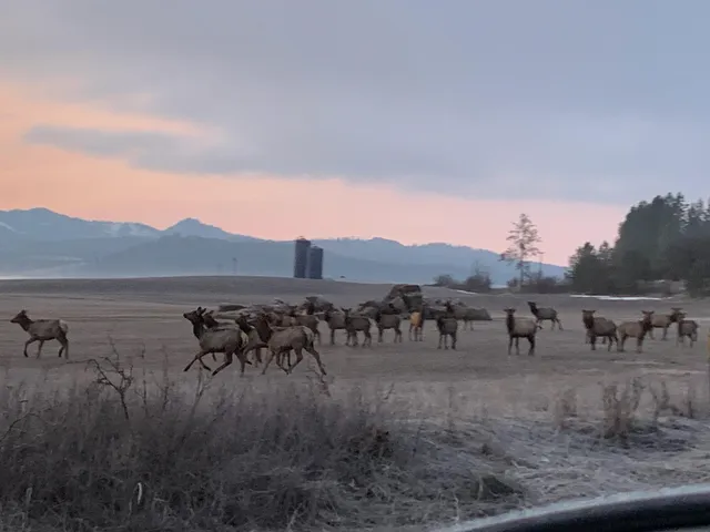 $4,400,000 | 2536 Heine Road, Chewelah, WA 99109