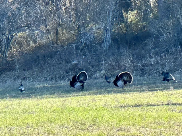 $4,400,000 | 2536 Heine Road, Chewelah, WA 99109