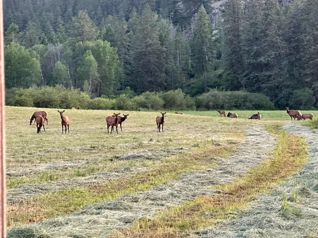 $4,400,000 | 2536 Heine Road, Chewelah, WA 99109