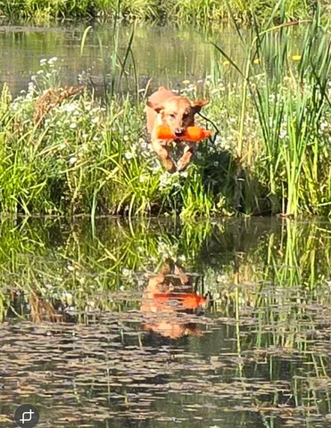 $4,400,000 | 2536 Heine Road, Chewelah, WA 99109