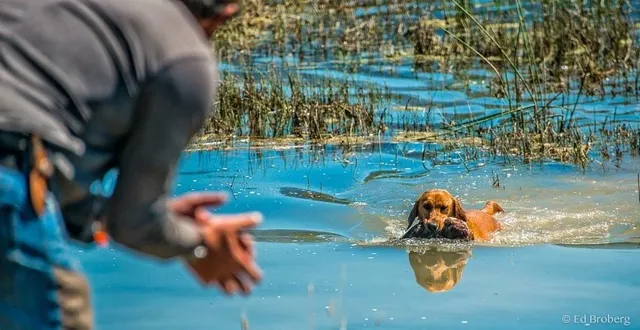 $4,400,000 | 2536 Heine Road, Chewelah, WA 99109