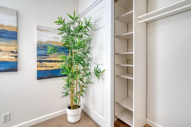 a plant with white vase sitting on a shelf