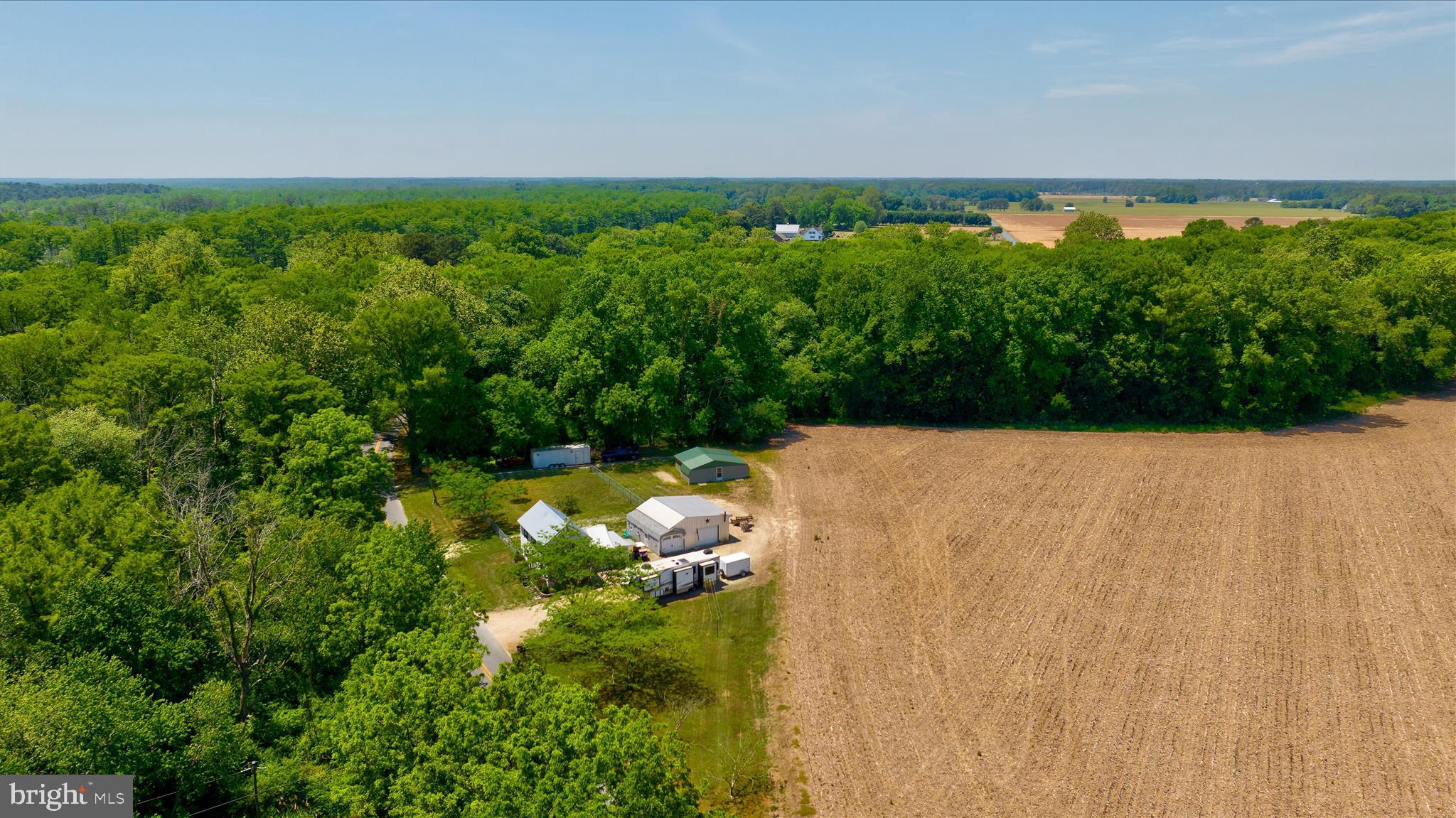 33150 Peach Orchard Road Pocomoke City, MD 21851 - Photo 24 of 40 Property Aerial
